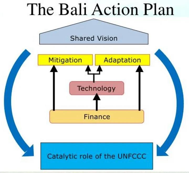 the bali action plan